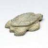 Even Keel Sea Turtle