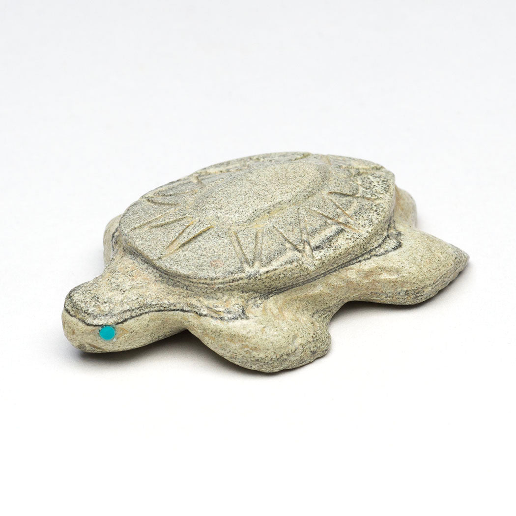 Even Keel Sea Turtle