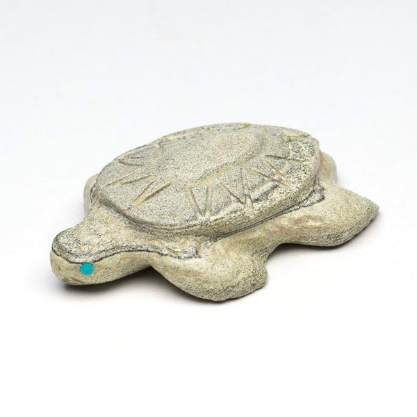 Even Keel Sea Turtle