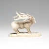 Wise Stag