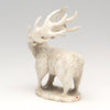 Antlered King Of The Woods