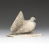 Wild Turkey