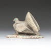 Wild Turkey