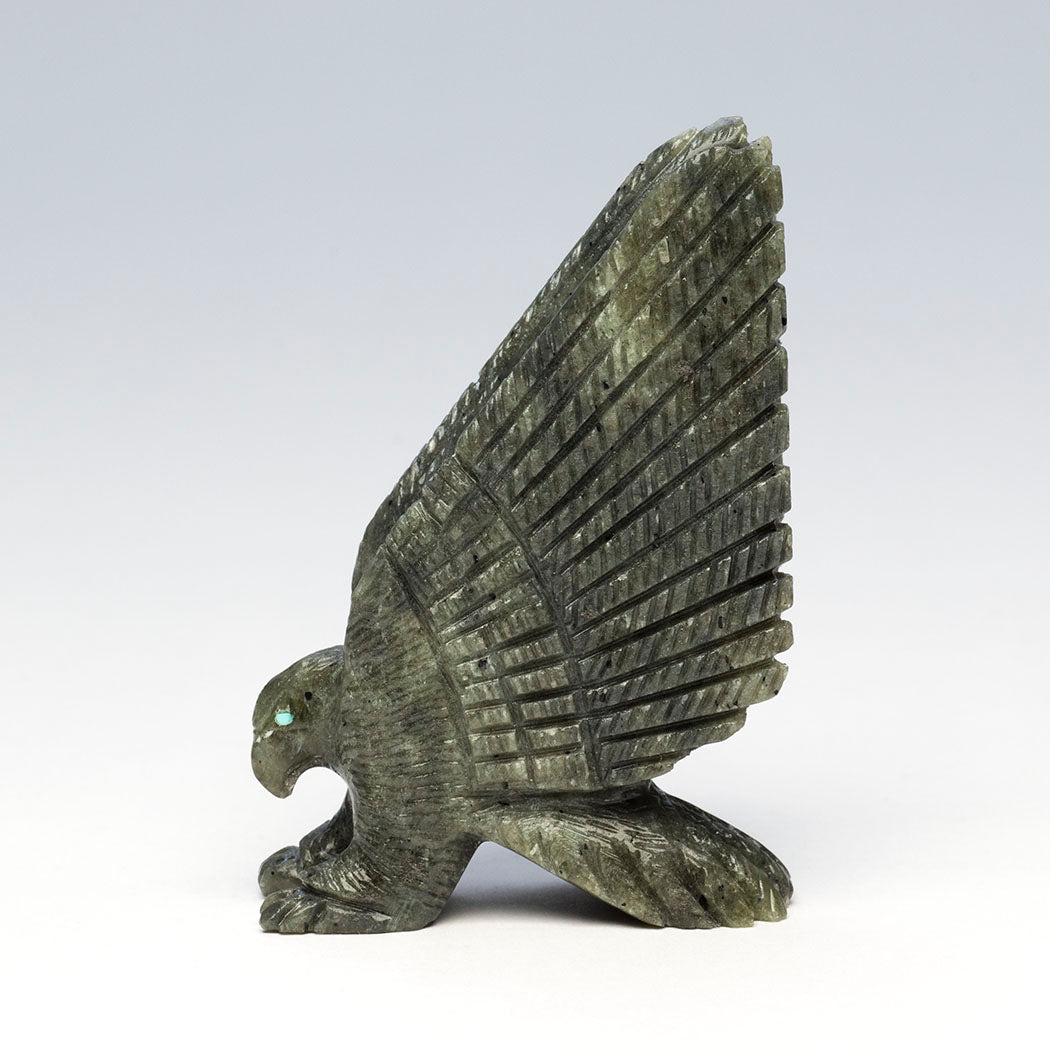 The Boundless Skies Eagle