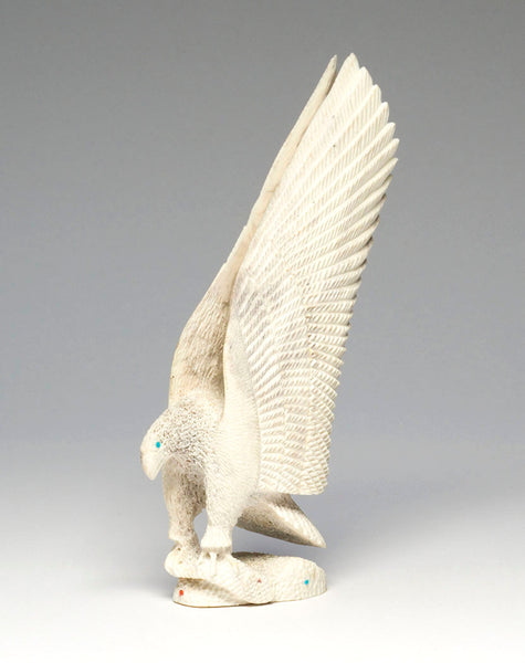 Powerful Snake Eagle