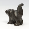 Nutria Wild Canine