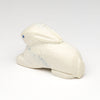 Cottontail Cutie