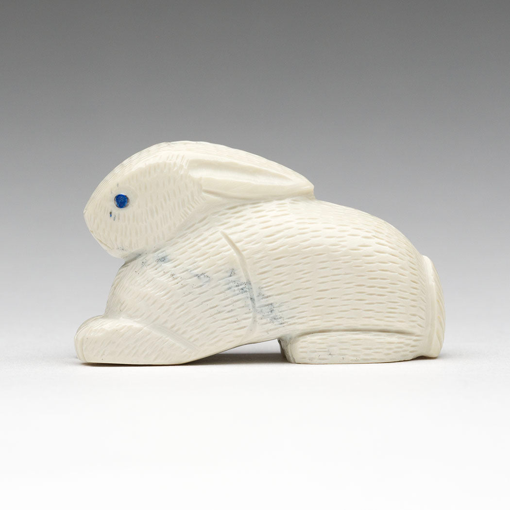 Cottontail Cutie
