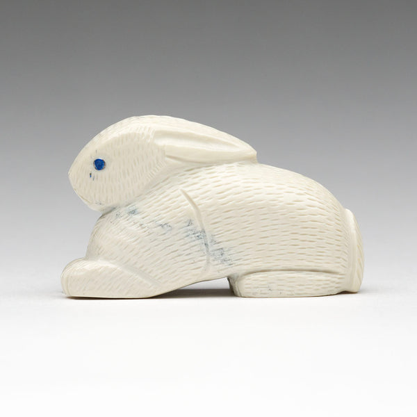 Cottontail Cutie