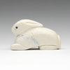 Cottontail Cutie