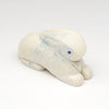 Cottontail Cutie