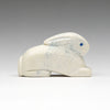 Cottontail Cutie