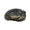 Baby Sea Turtle