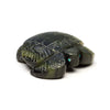 Baby Sea Turtle