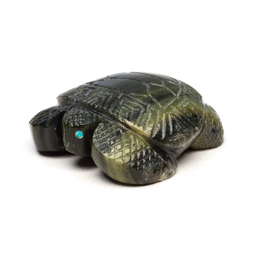 Baby Sea Turtle