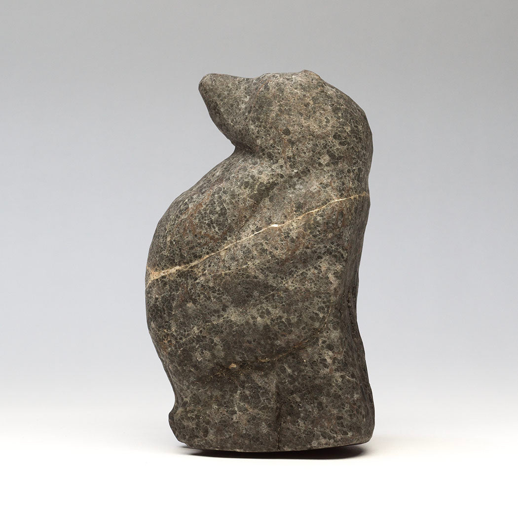 Robust Standing Bear