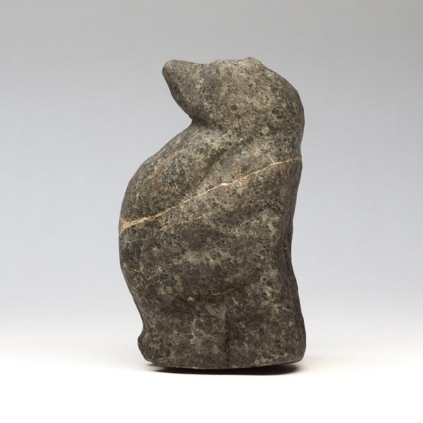 Robust Standing Bear
