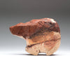 Cinnamon Bear