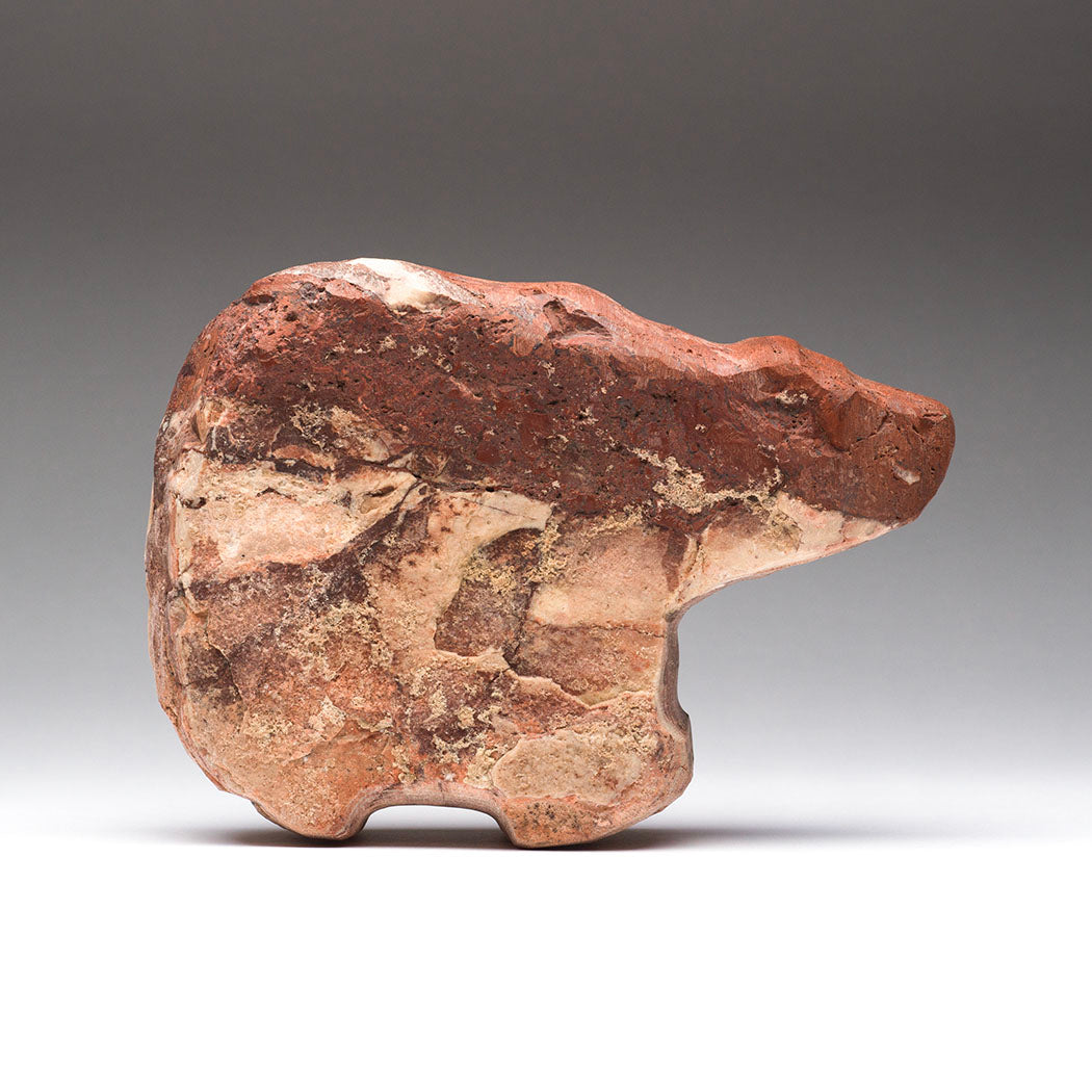 Cinnamon Bear