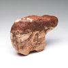 Cinnamon Bear