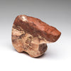 Cinnamon Bear