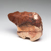 Cinnamon Bear