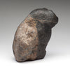 Ancient Presence Bear