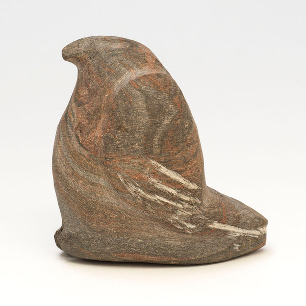 Central Flyway Songbird