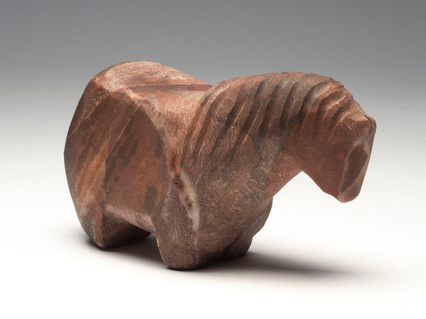 Pueblo Pony