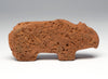 Circle Of Life Mountain Lion