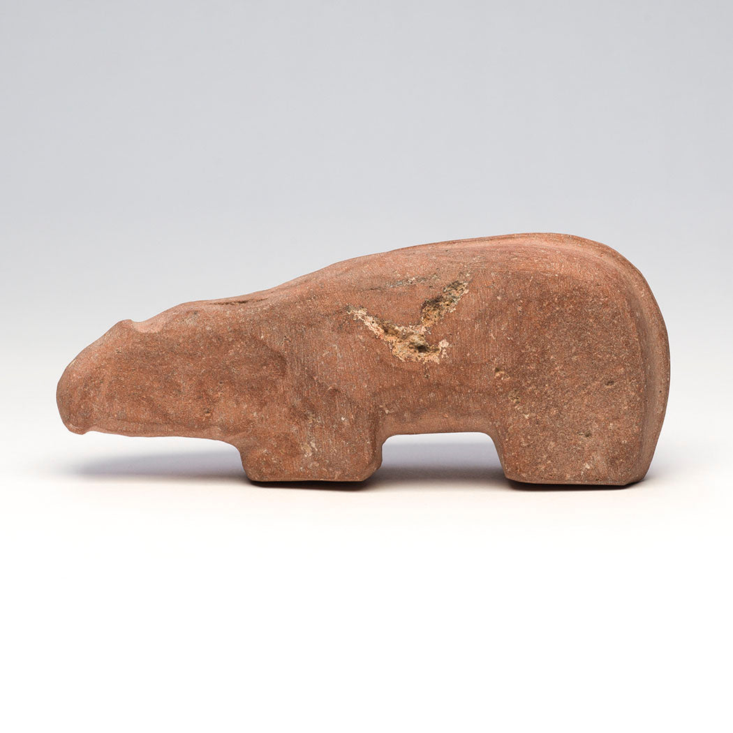 Warrior Mountain Lion