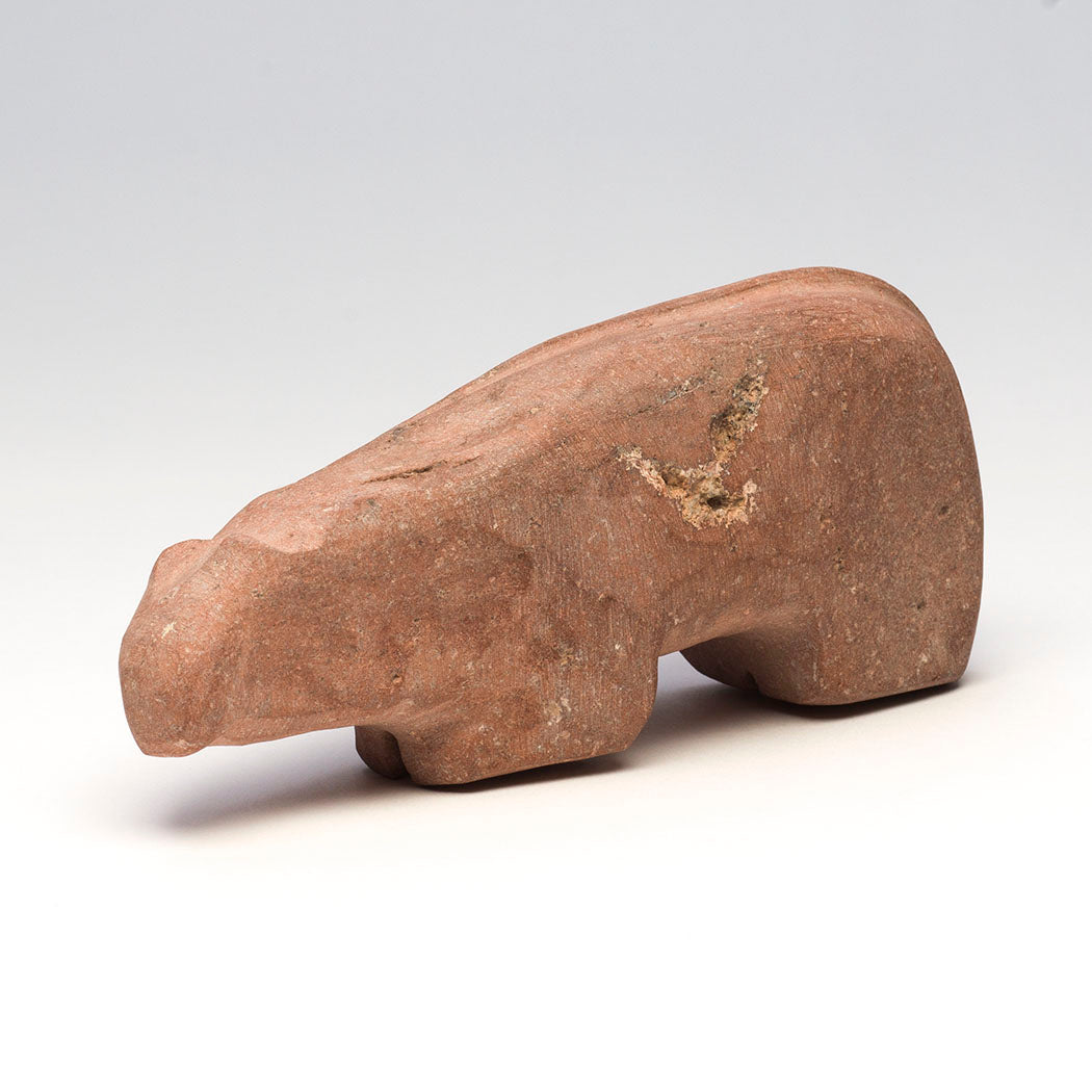 Warrior Mountain Lion