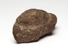 Snapping Turtle