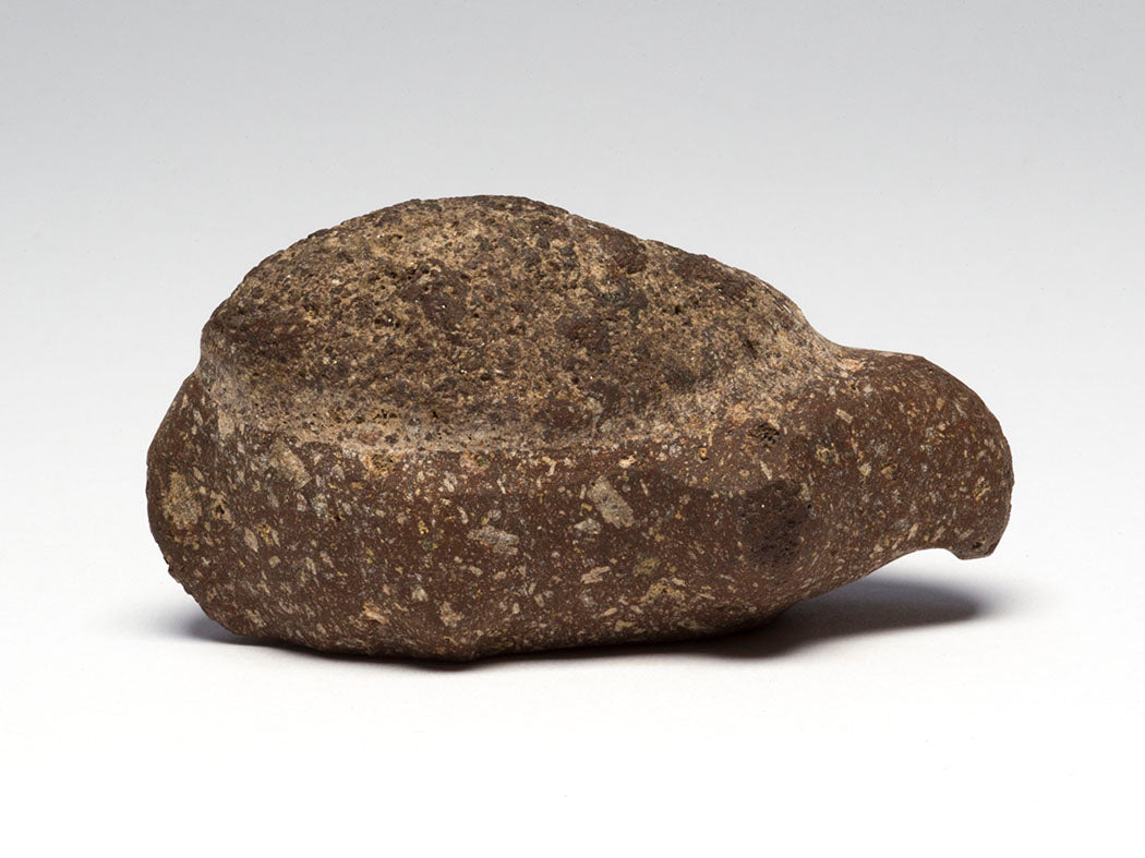Snapping Turtle