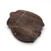 Timeless Traveler Turtle