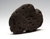Lava Rock Buffalo