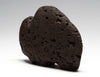 Lava Rock Buffalo