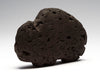 Lava Rock Buffalo