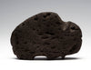 Lava Rock Buffalo