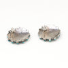 Turquoise Snake Eye Petit Point Earrings