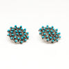 Turquoise Snake Eye Petit Point Earrings