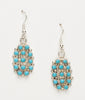 Sleeping Beauty Turquoise Dangle Earrings