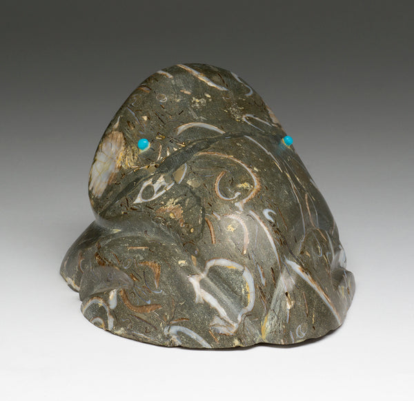 A Story To Tell Amphibian