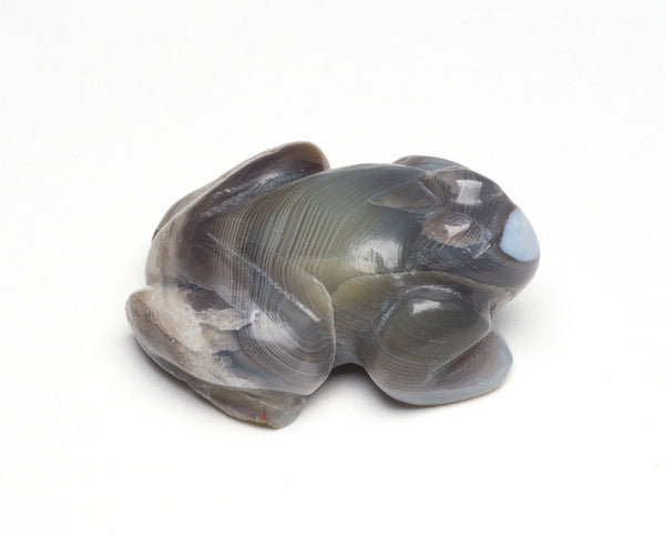 Botswana Agate Amphibian