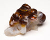 Mexican Fire Agate Frog