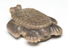 Nutria Travertine Sea Turtle