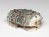 Turquoise-Studded Reptile