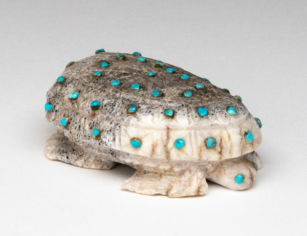 Turquoise-Studded Reptile