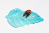 Ladybug On Turquoise Leaf