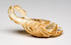 Fossilized Ivory Scorpion